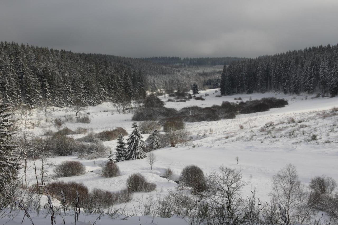 Le Nid Des Mesanges Villa Bullange Bagian luar foto